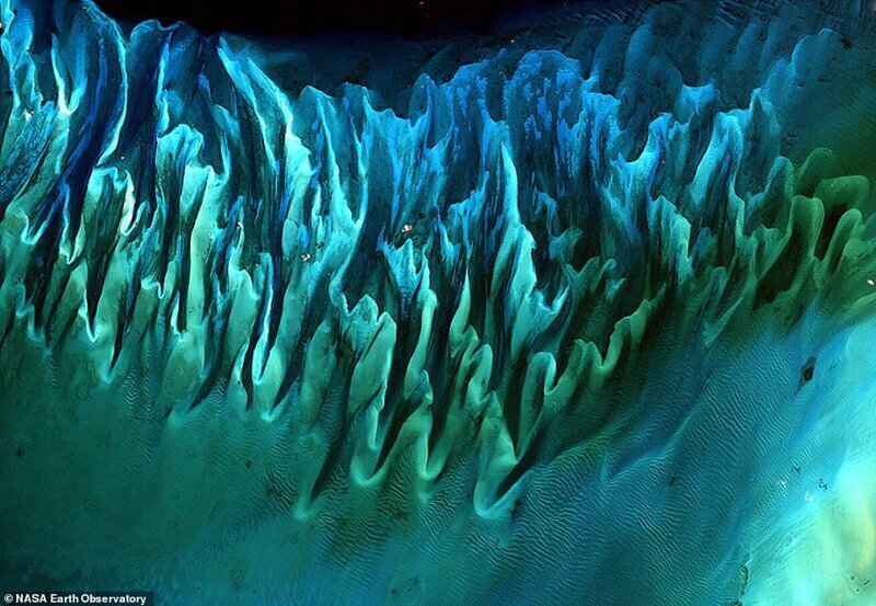 Заросли морских водорослей у Багамских островов. Снимок сделан со спутника в январе 2001 года
