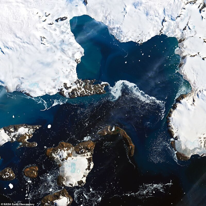 Тающие снежные шапки антарктического острова Игл во время рекордного потепления, когда температура в Антарктике доходила до +18