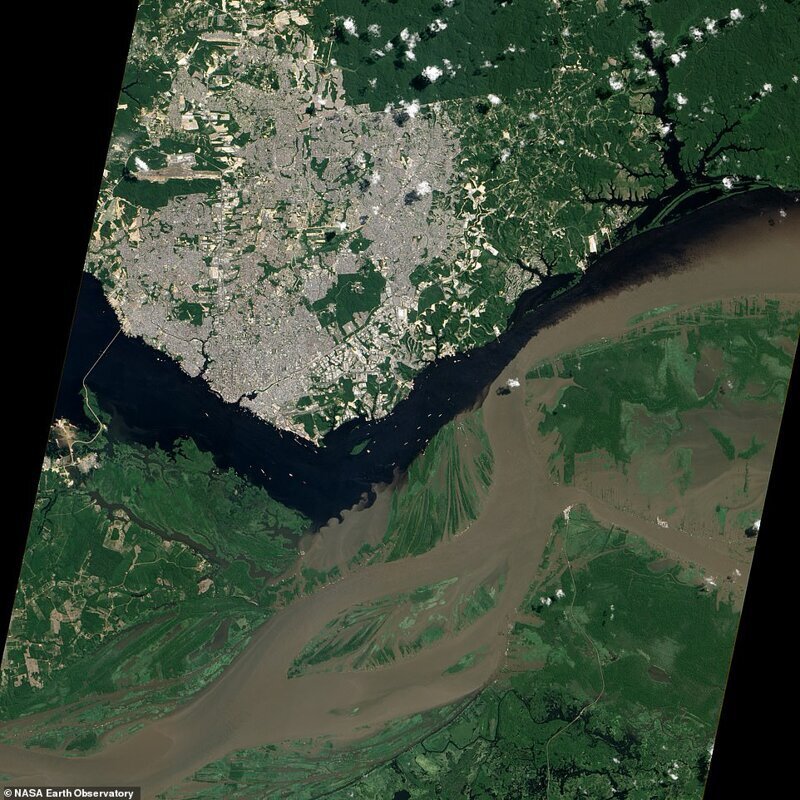 Слияние реки Солимойнс и Риу-Негру в амазонских джунглях Бразилии. Спутниковый снимок, сделанный в июне 2012 года