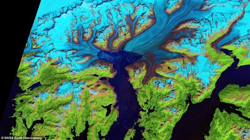 Спутниковый снимок, показывающий отступление ледника Колумбия на Аляске, июль 2014 года