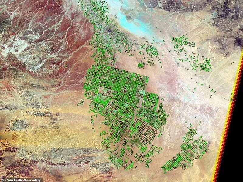 Сенсорный снимок 2012 года, показывающий разрастание зеленых насаждений в Вади ас-Сирхан - пустынном районе Саудовской Аравии