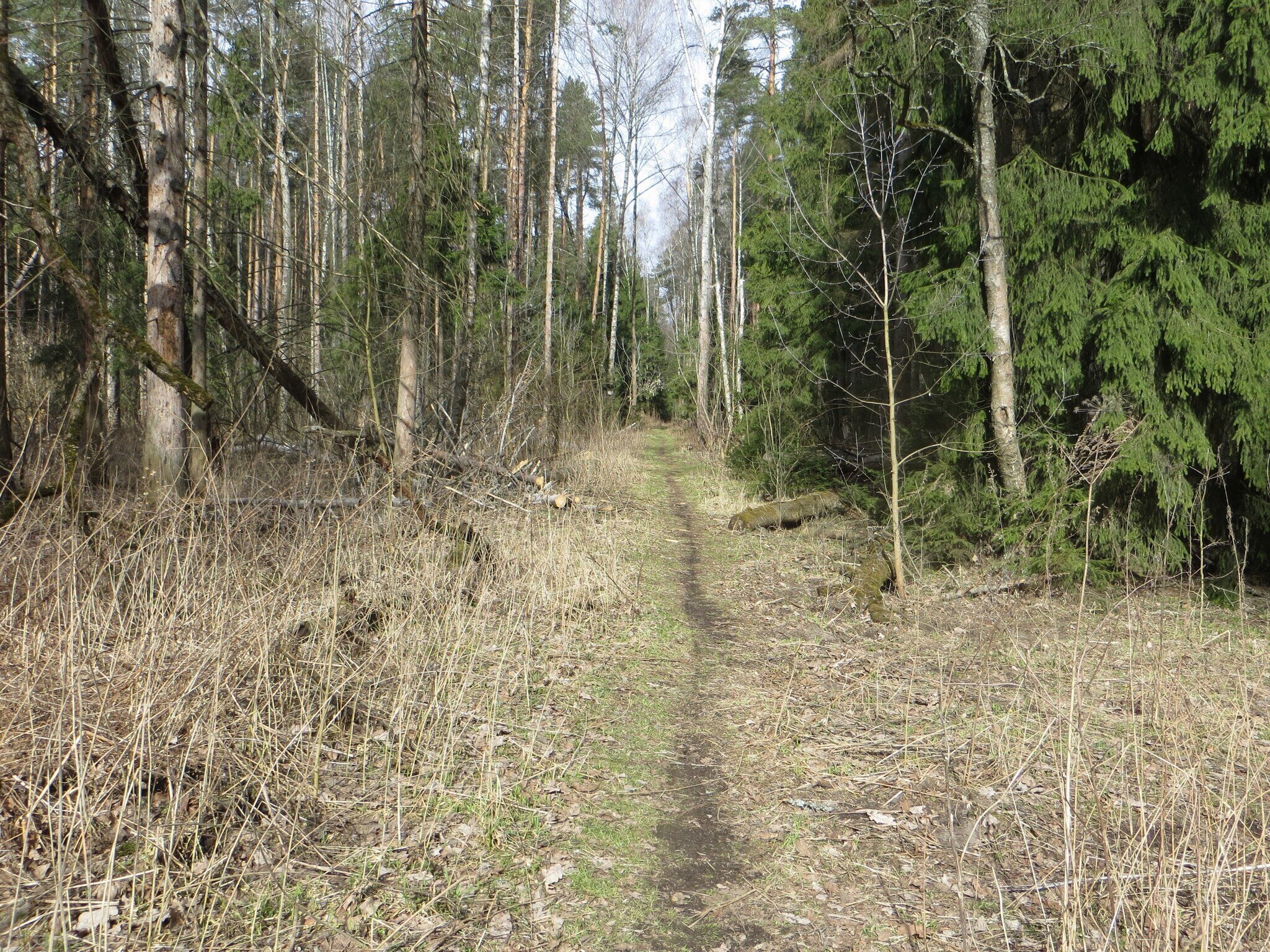 пво в лосином острове