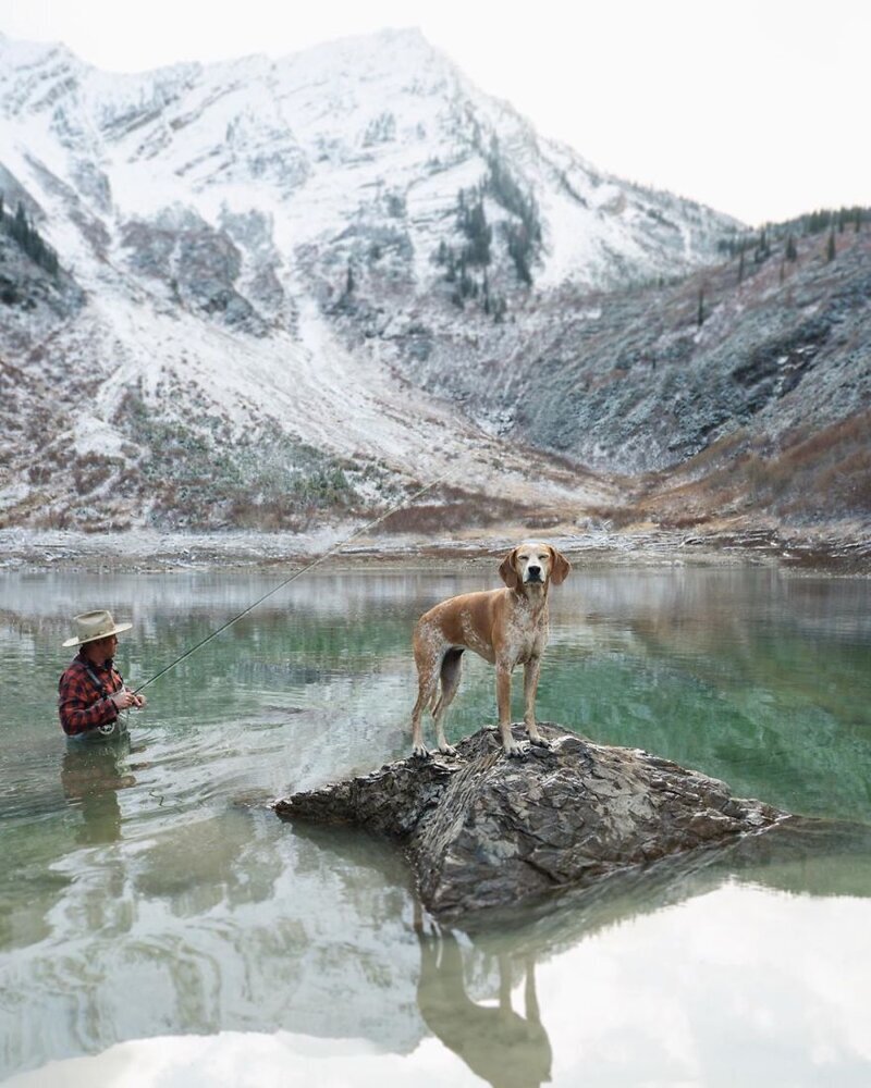 Фотограф путешествует со своей собакой, и делает крутейшие снимки