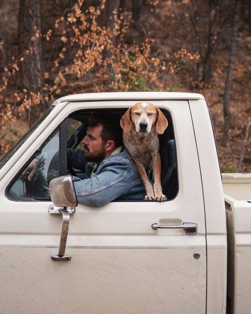 Фотограф путешествует со своей собакой, и делает крутейшие снимки