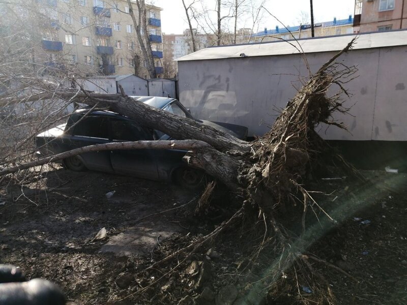 Сильный ветер в Омске снес крыши с домов и вырвал деревья с корнем