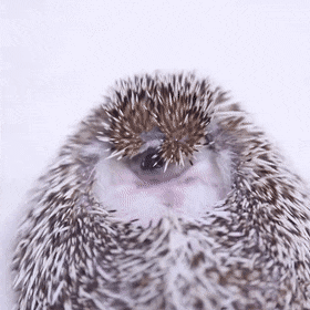 Гифки разные