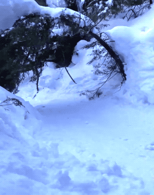 Гифки разные