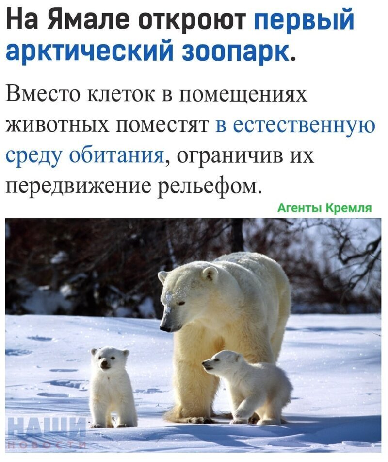 Политические комментарии 2