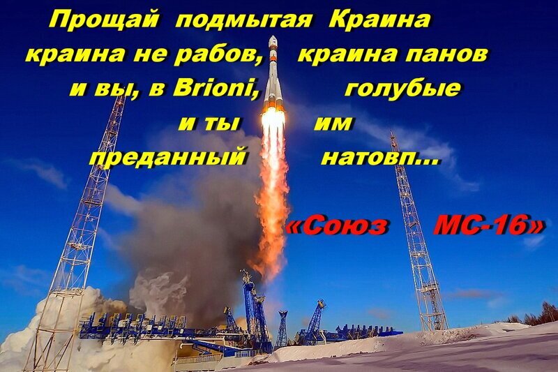  Укроинцы не влюбляется в идеал,  они идеализируют очередного идиота,  в которого влюбляются...