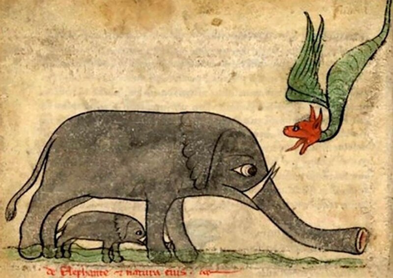 Как художники средневековья представляли себе слонов