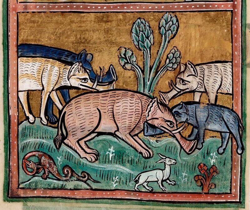 Как художники средневековья представляли себе слонов