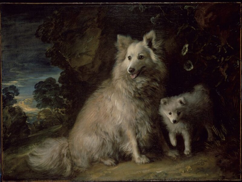 Гейнсборо, 1777 "Померанский шпиц и щенок"