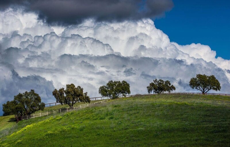 Весенние луга в Калифорнии. (Фото George Rose):