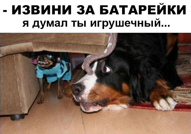 Fishki.net - Сайт хорошего настроения