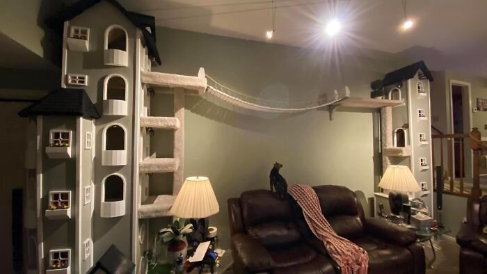 Инженер построил жилой комплекс класса "люкс" для кошек