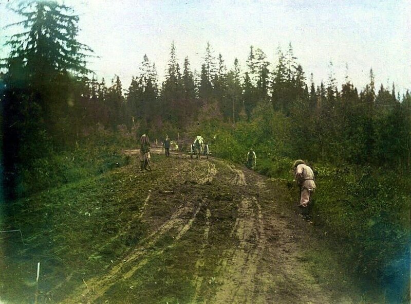 Крестьяне чинят дорогу, 1899 год. Лошадь равняет бревном, мужики делают сливную траншею для ухода воды с дороги.