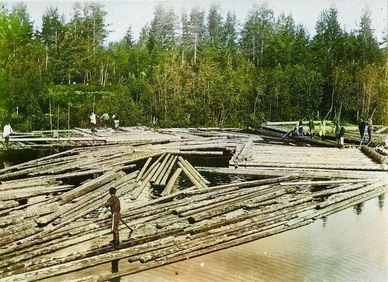 В северных губерниях главный кормилец – лес.