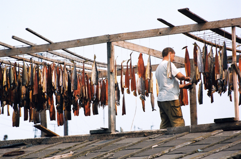 22 июля. Мужчина вялит рыбу на крыше в Поронайске