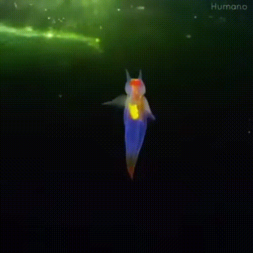 Так говорят