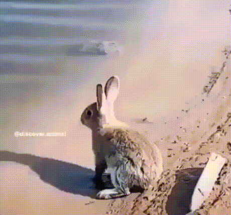 Поплыл