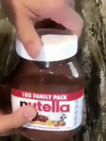 А вы знали, что лежит в крышке?