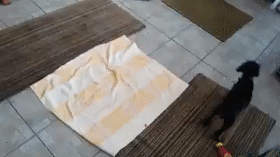 Гифки разные