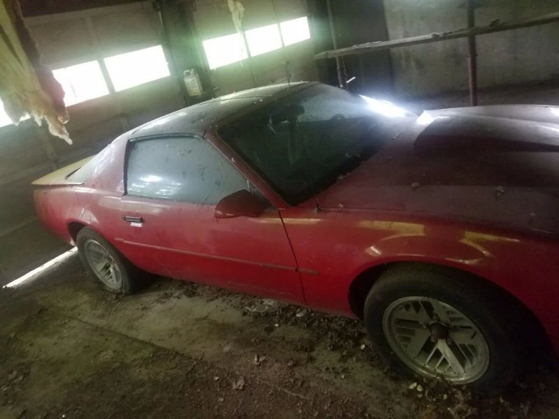 Pontiac Firebird провел 24 года в гараже или Жар-птица в неволе