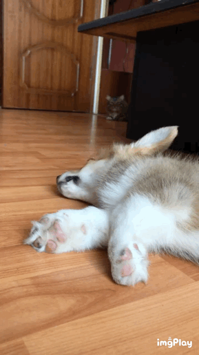 Задумал какую-то гадость