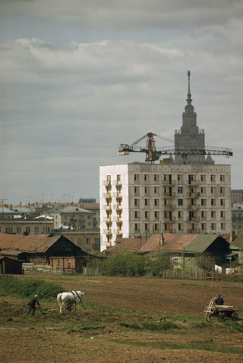 Москва 1960-х годов.
