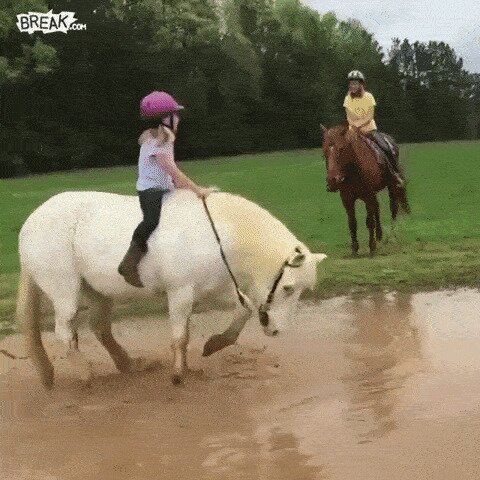 Лошадка решила принять грязевую ванну