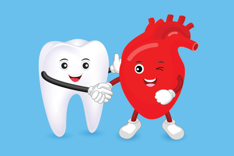 Взаимосвязь сердечно-сосудистой системы и зубов
