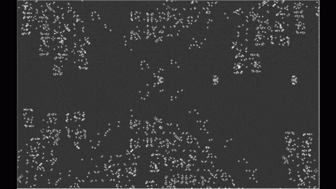 Фабрика космических кораблей в игре "Жизнь" Джона Конуэя Фабрика космических кораблей в игре "Жизнь" Джона Конуэя