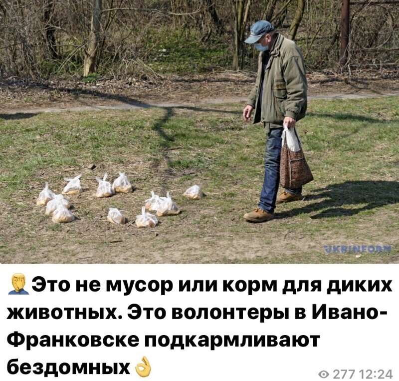 Политические комментарии из инета