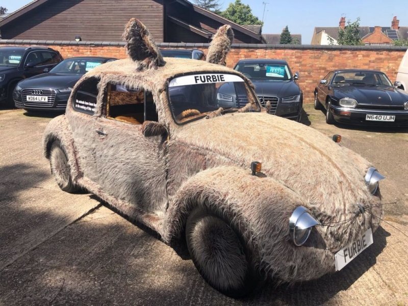 Пушистый Volkswagen Beetle из Великобритании выставили на продажу
