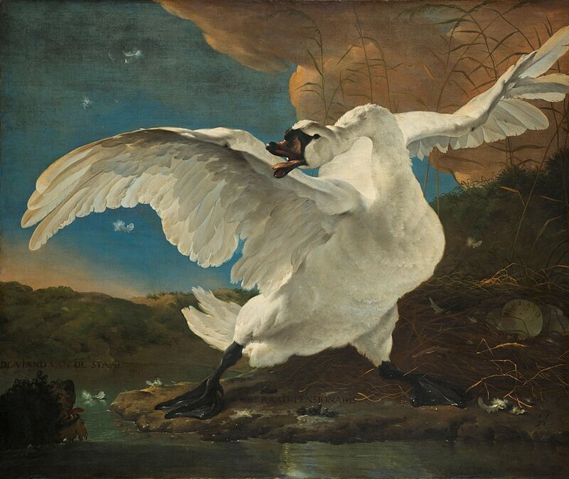 Ян Асселин. Испуганный лебедь (1650)