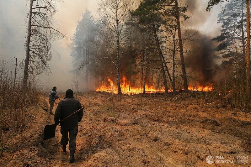 Пожары в Чернобыле, загрязненный Киев и опасность для России: Ждать ли экологическую катастрофу?