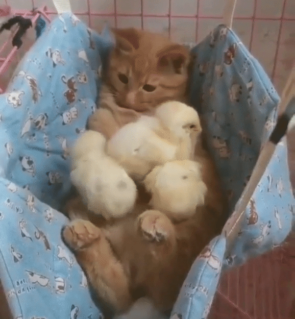 Теплая мамочка