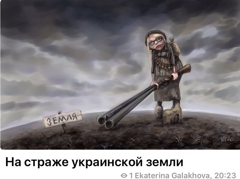 Тимошенко пригрозила Зеленскому тюрьмой, если тот не наложит вето на закон о продаже земли