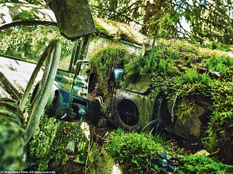 Ржавчина и разрушение: завораживающие фотографии брошенных автомобилей