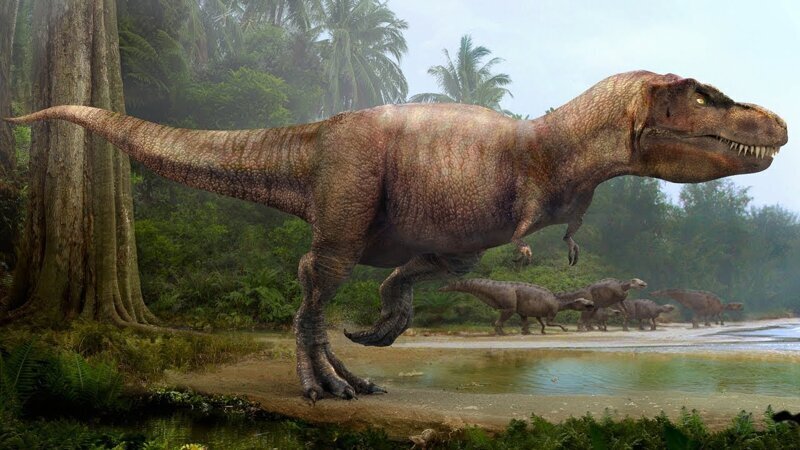 Интересный факт: самым большим динозавром считается сейсмозавр. Его длина могла достигать 40 метров, а вес до 50 тонн. 
