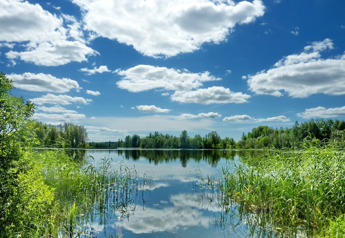 Лесные озера белоруссия