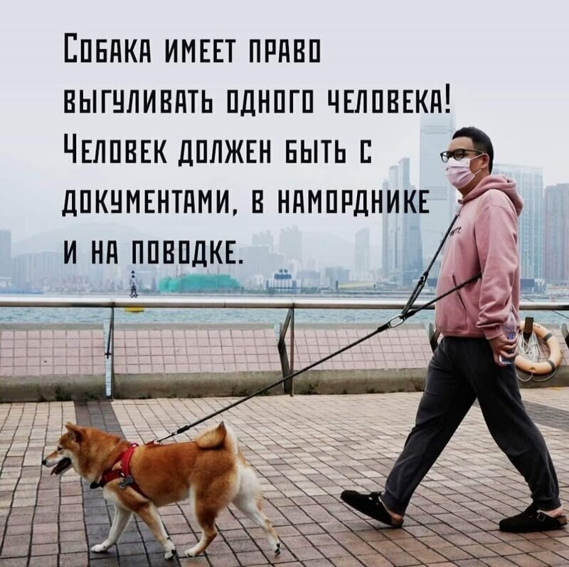 Политические комментарии из инета