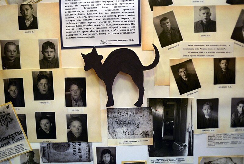 Стенд банды «Черная кошка» в музее