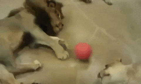 Гифки разные