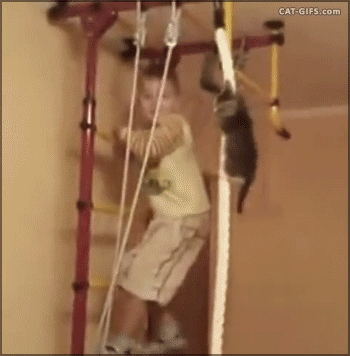 Гифки разные