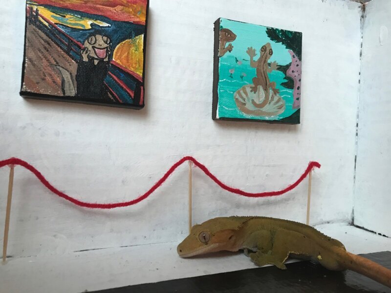 Художественная галерея для геккона