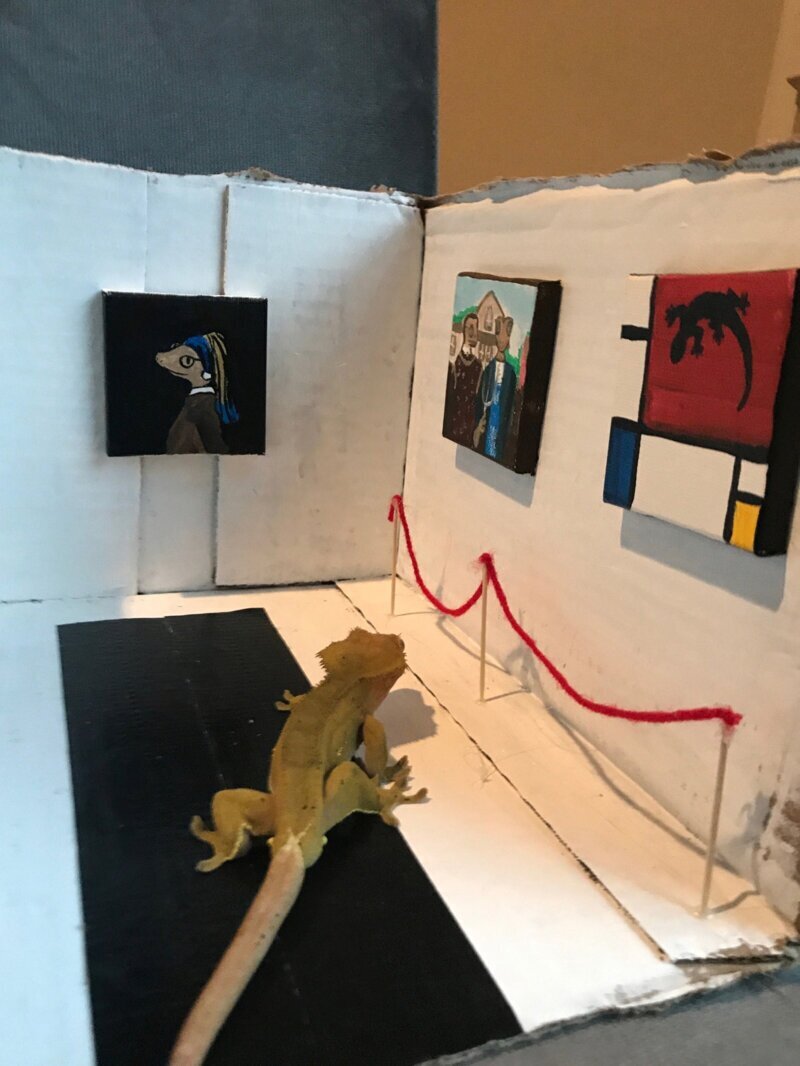 Художественная галерея для геккона