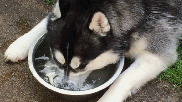 Гифки разные Гифки разные