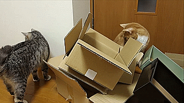 Гифки разные Гифки разные