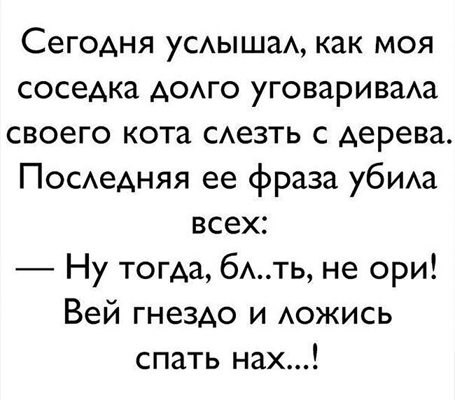 Ну не ори. Вей гнездо и ложись спать анекдоты. Анекдот про соседку. Ну тогда не ори Вей гнездо и ложись спать. Ну тогда не ори Вей гнездо.